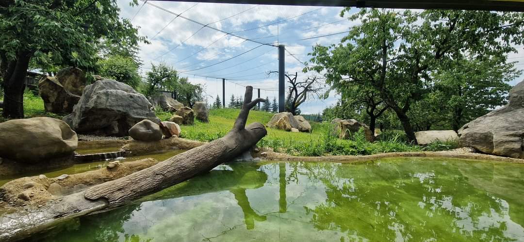 New Jaguar Exhibit