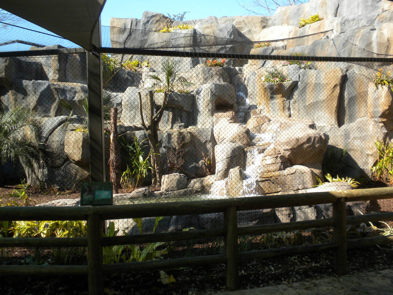New Jaguar Exhibit