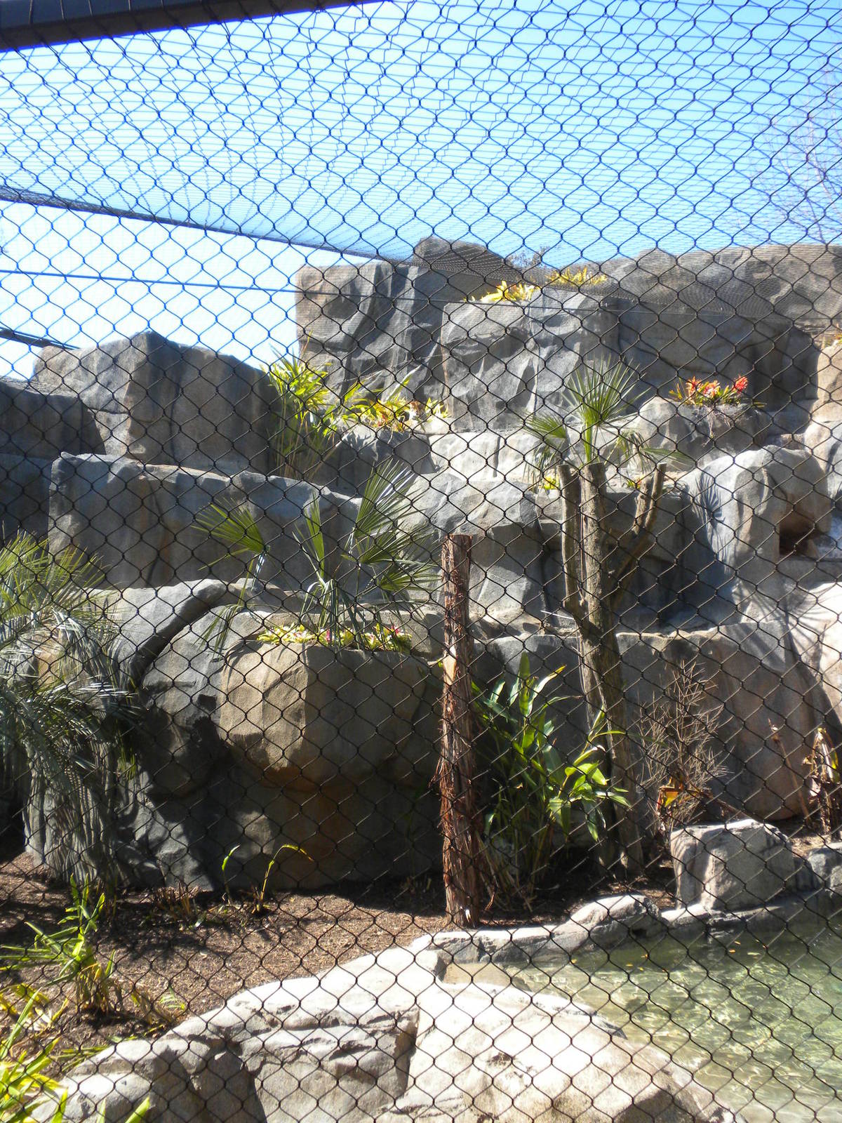 New Jaguar Exhibit