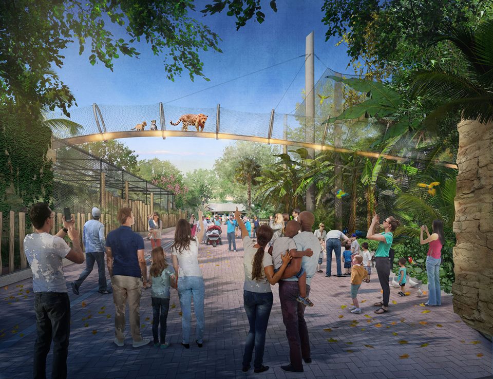 New Jaguar Habitat Rendering