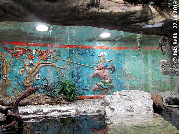 New Jaguar House at Zoo Hellbrunn Salzburg