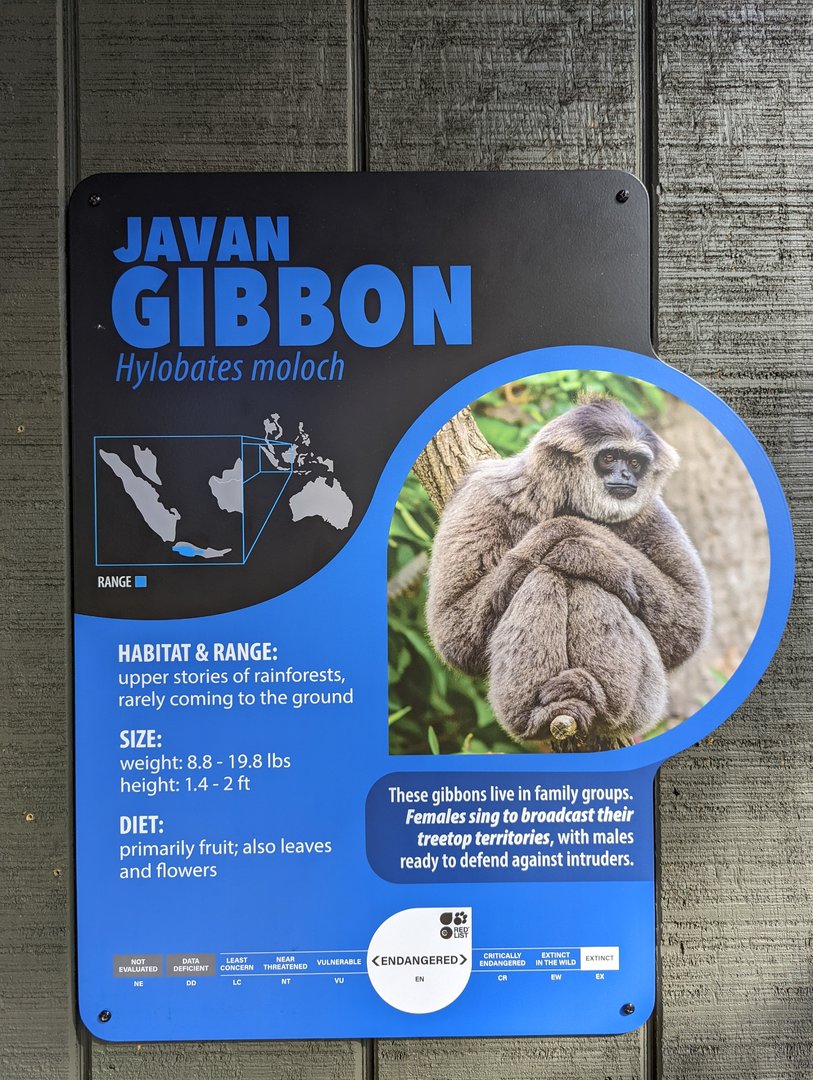 New Javan Gibbon Signage