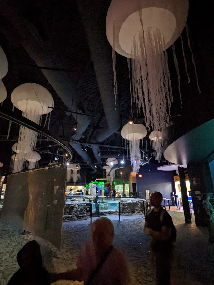 New Jellyfish art pieces in the aquarium
