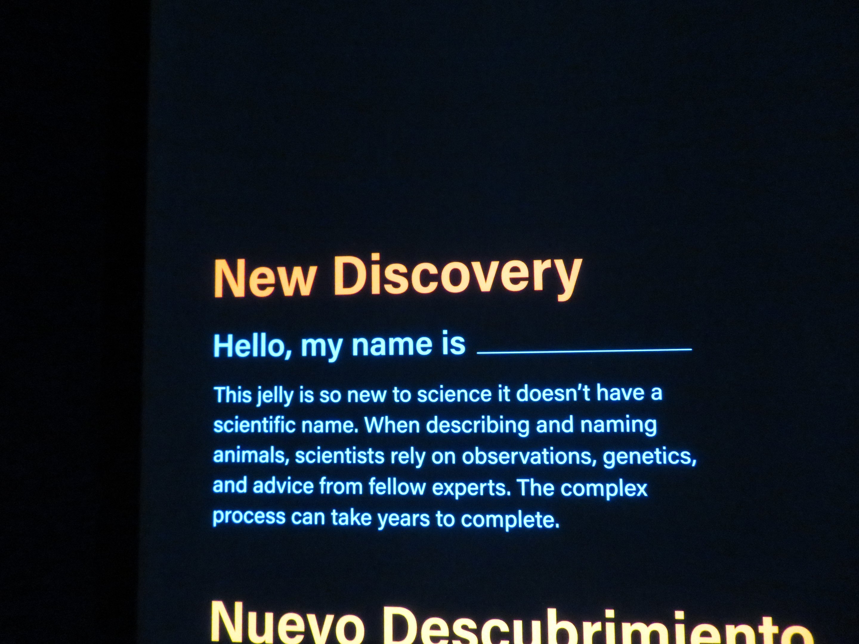 New Jellyfish Signage