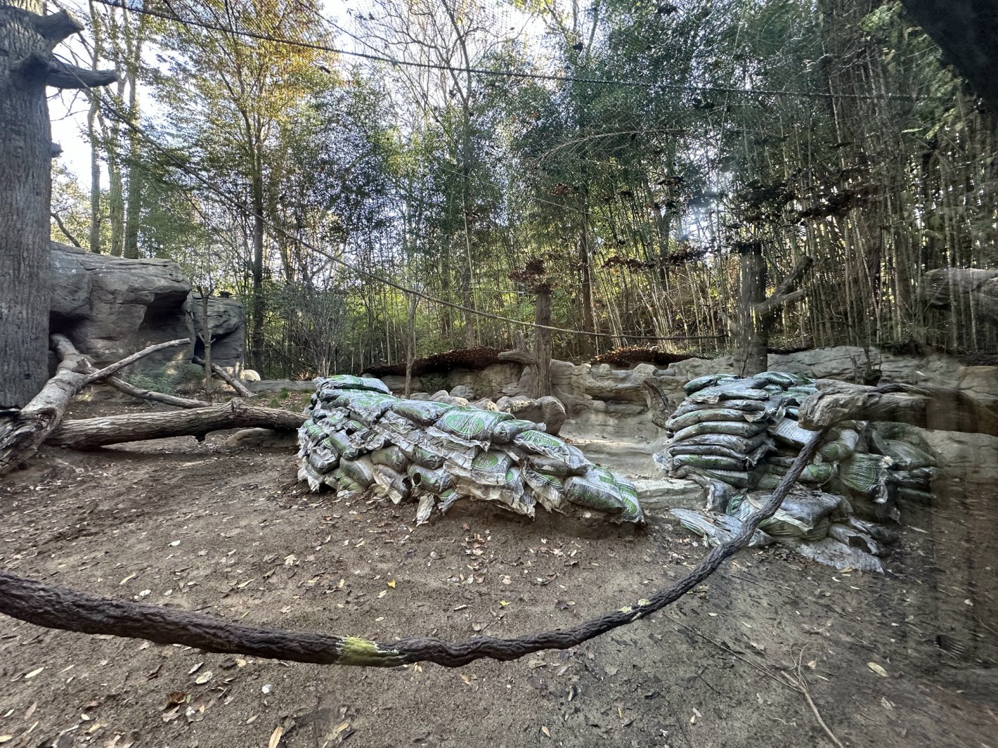 New Jungle Trails Habitat Construction