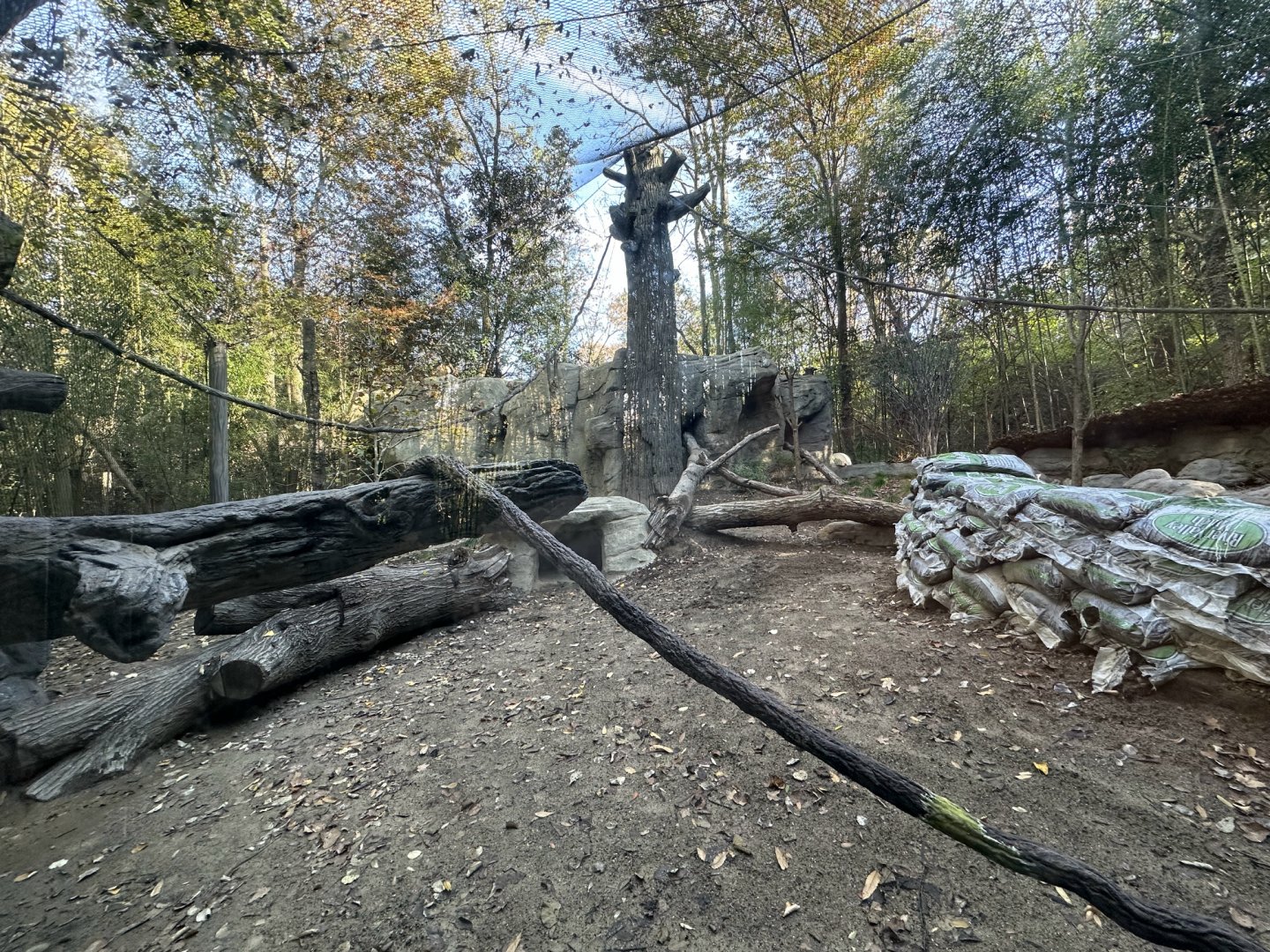 New Jungle Trails Habitat Construction