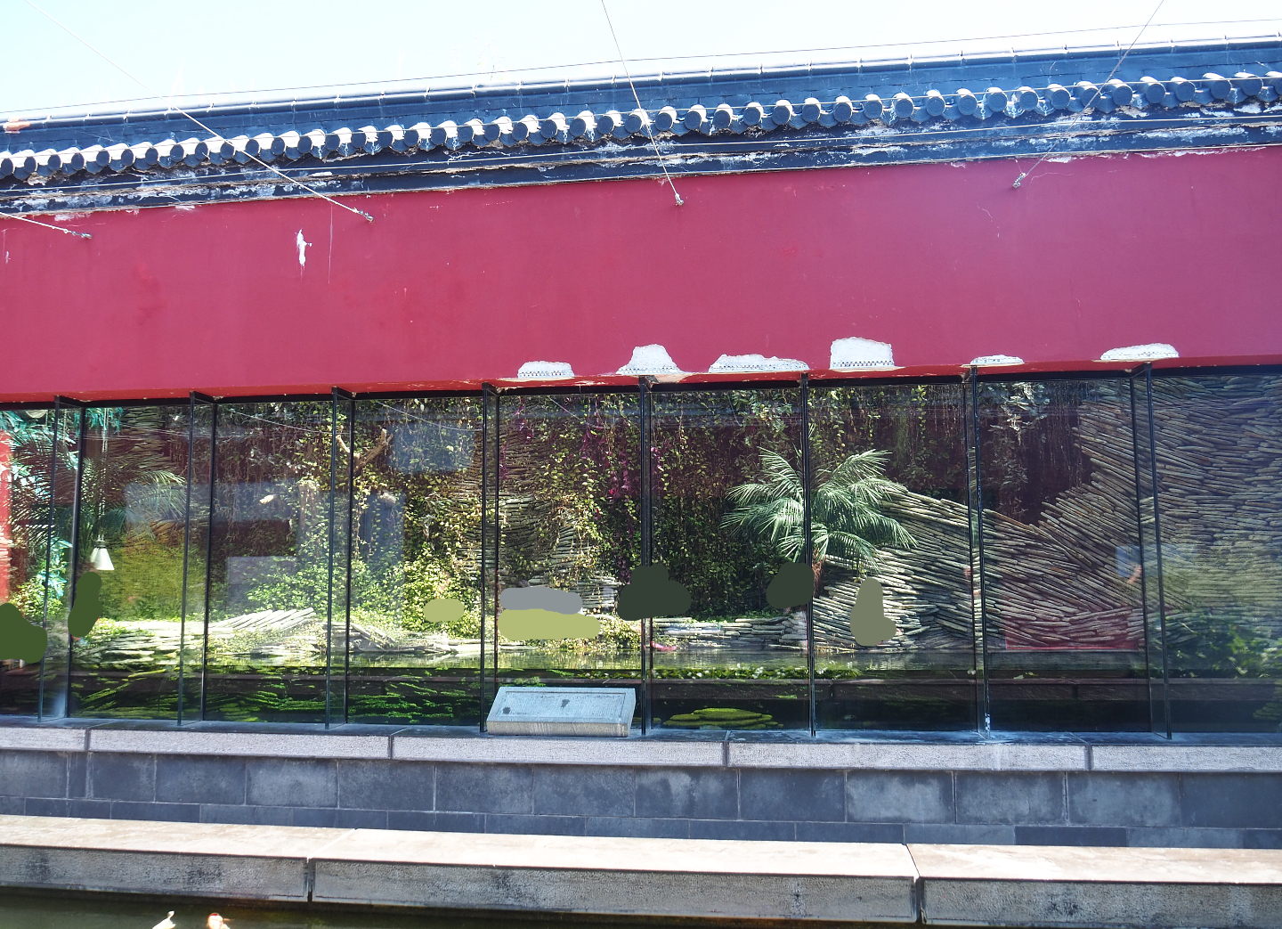 New juvenile Gharial exhibit, 2022-06-28