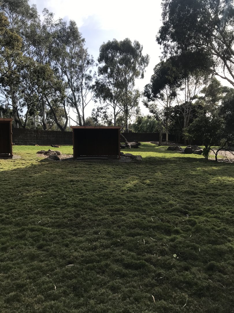 New kangaroo enclosure