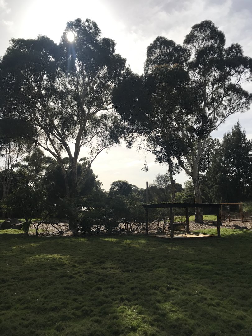 New kangaroo enclosure