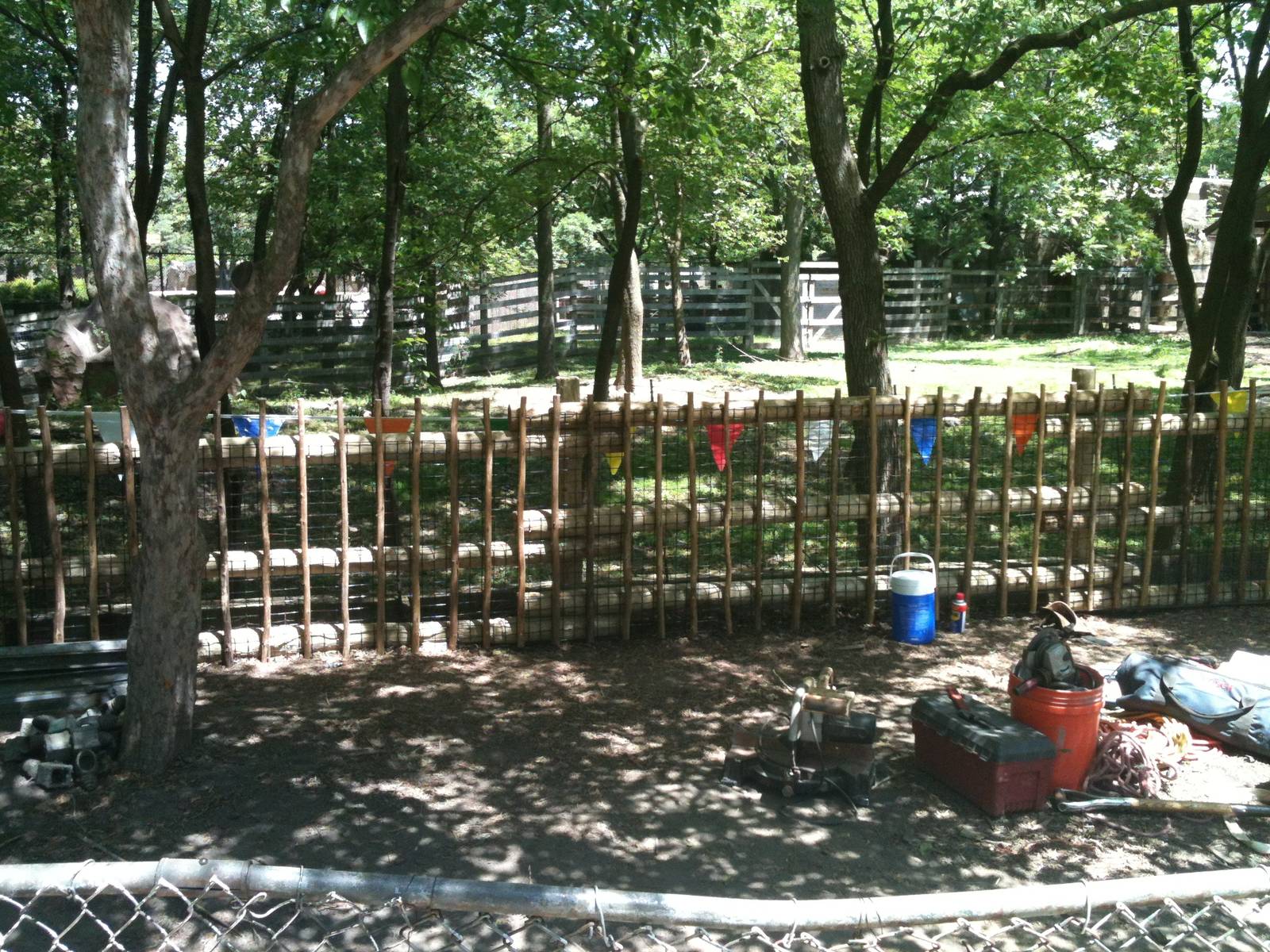 New Kangaroo Fencing