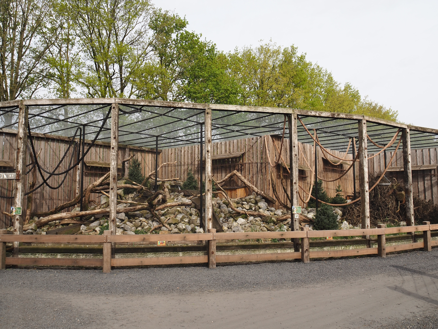 New Kea aviary, 2024-04-14