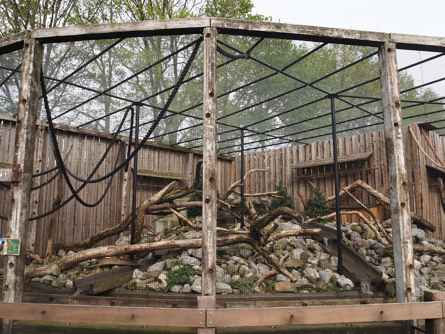 New Kea aviary, 2024-04-14