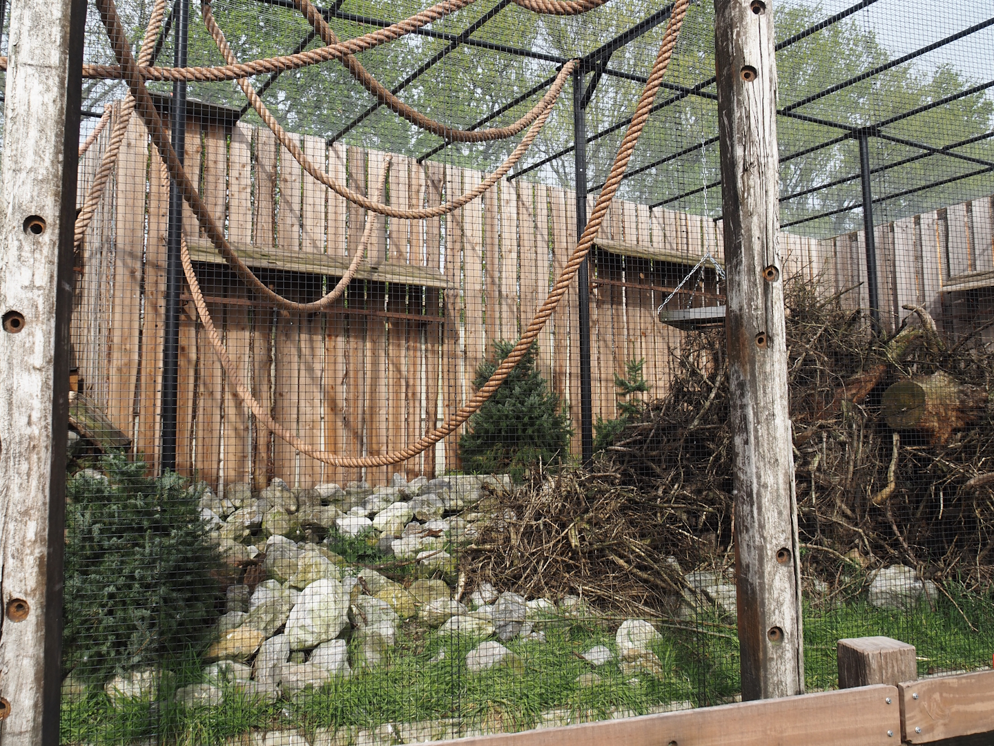 New Kea aviary, 2024-04-14