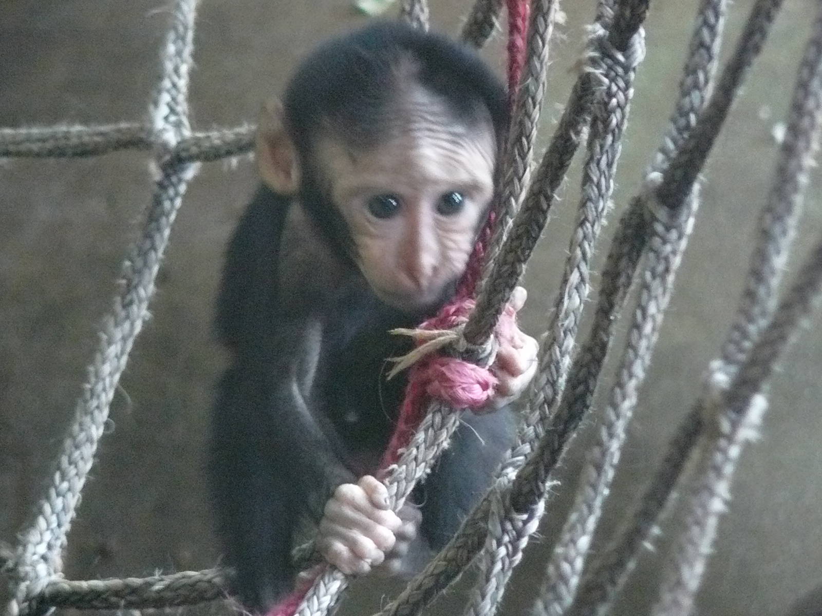 NEW KID ON THE BLOCK