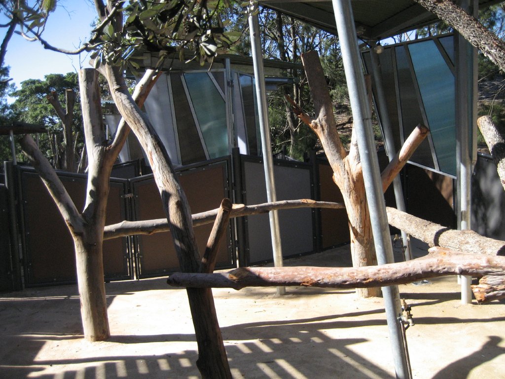 New Koala Encounters area