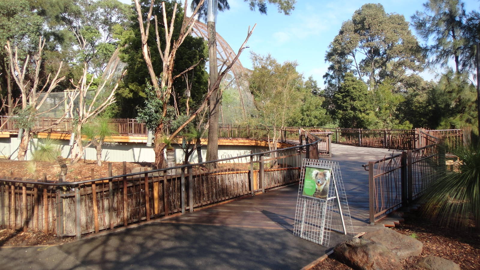 New Koala Exhibit