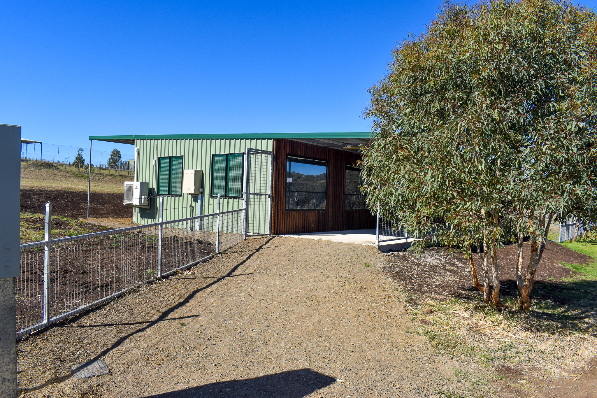New Komodo Dragon/Aldabra Giant Tortoise Building