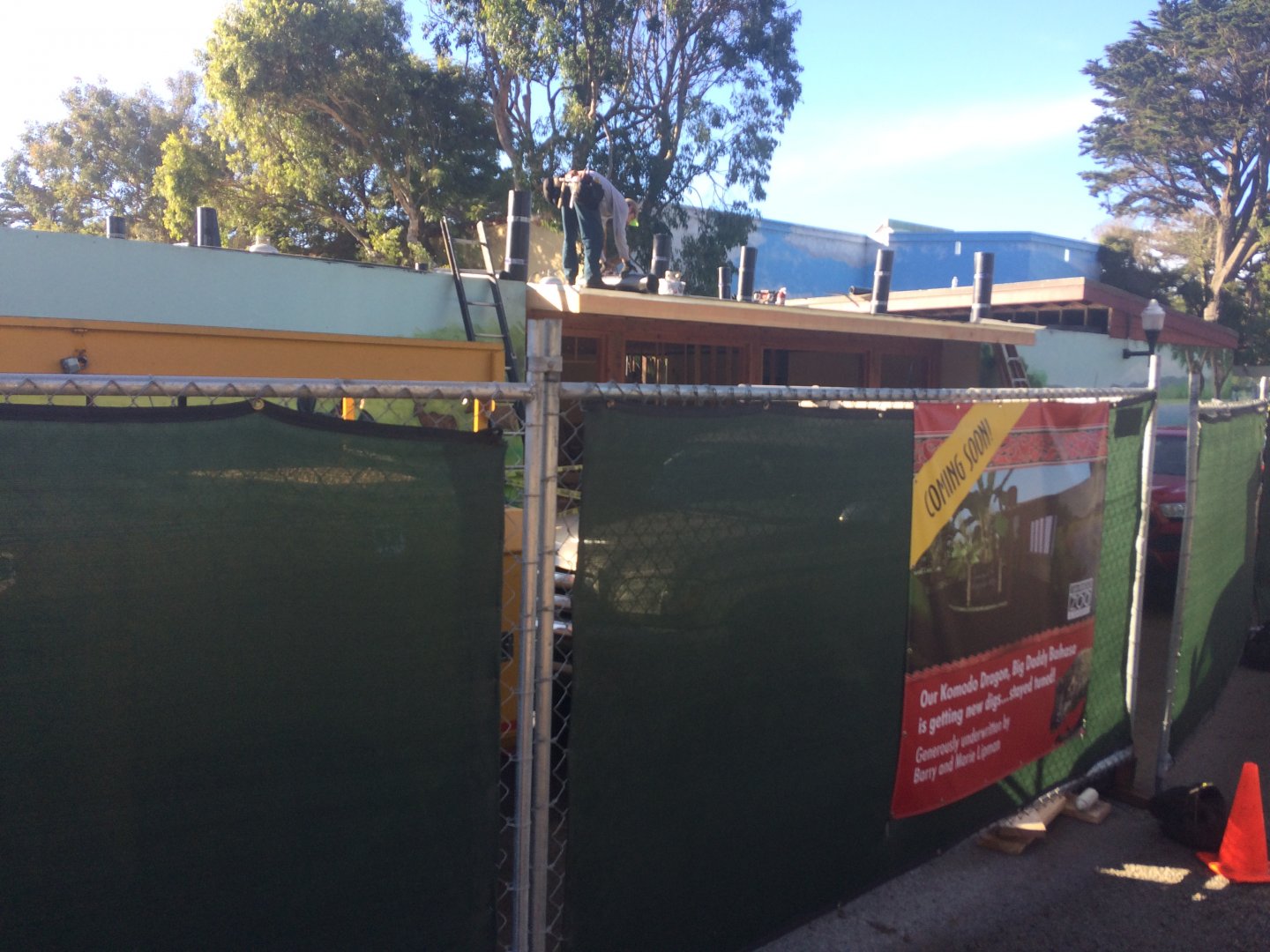 New Komodo Dragon exhibit