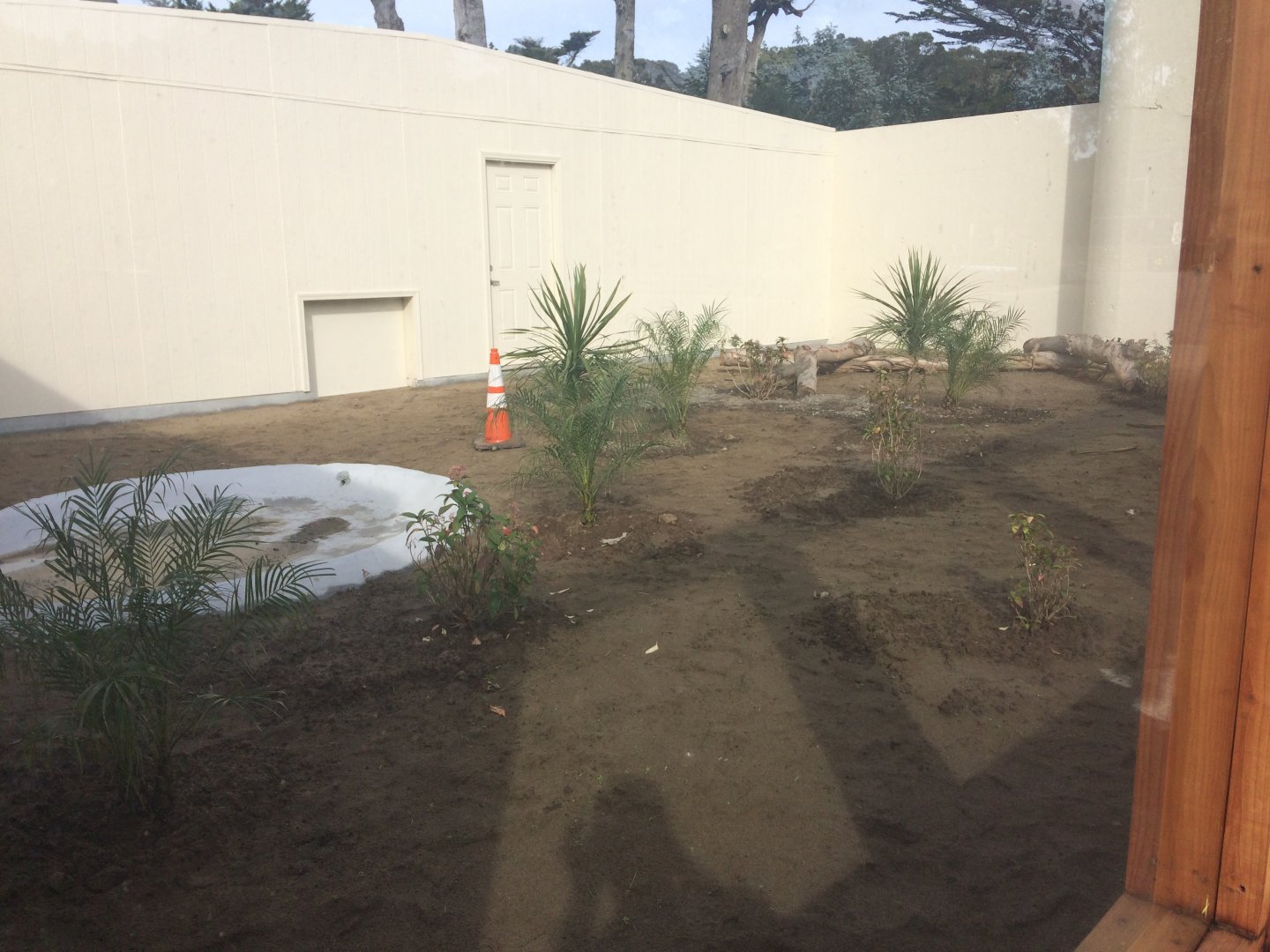 New Komodo Dragon exhibit