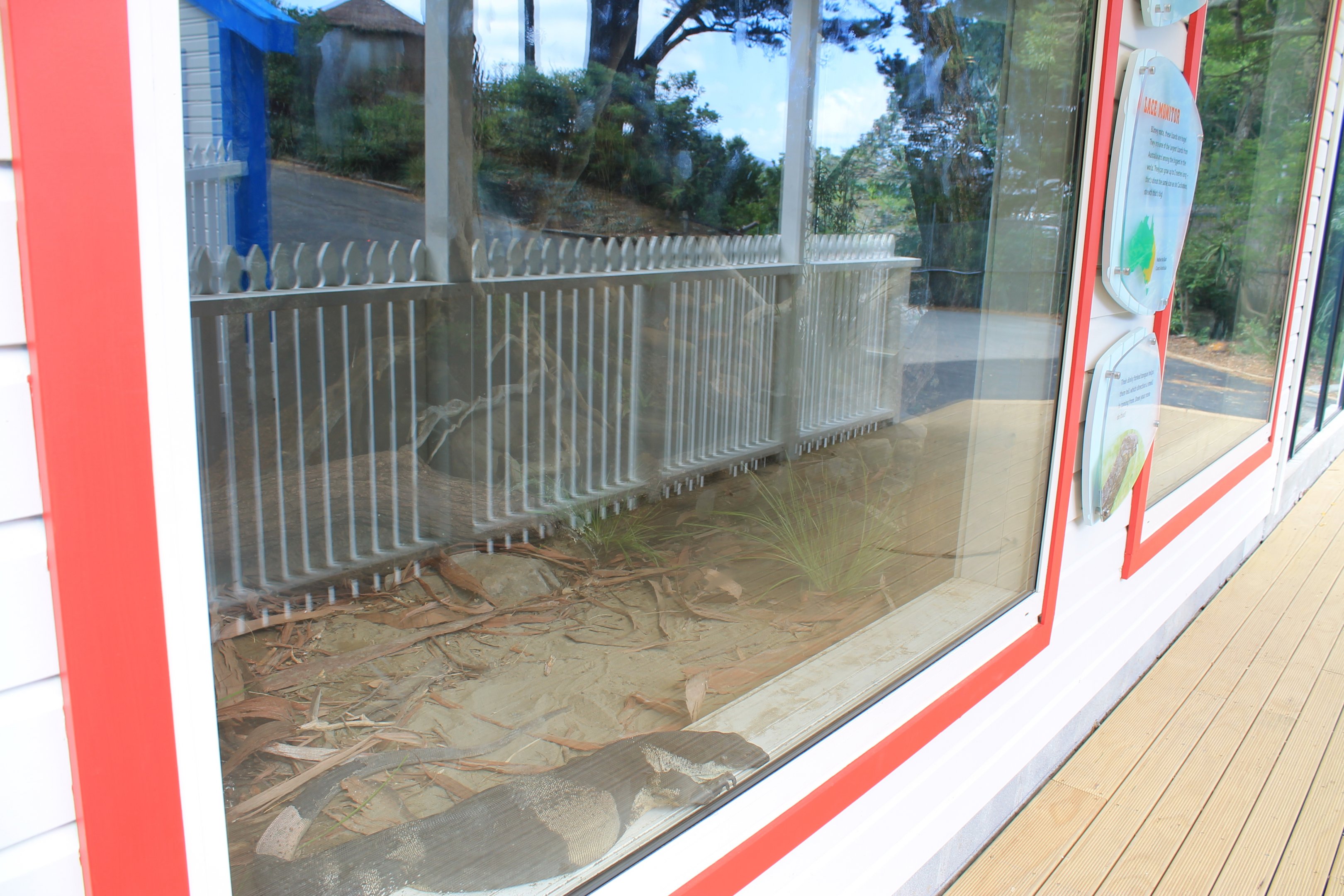 new Lace Monitor enclosure