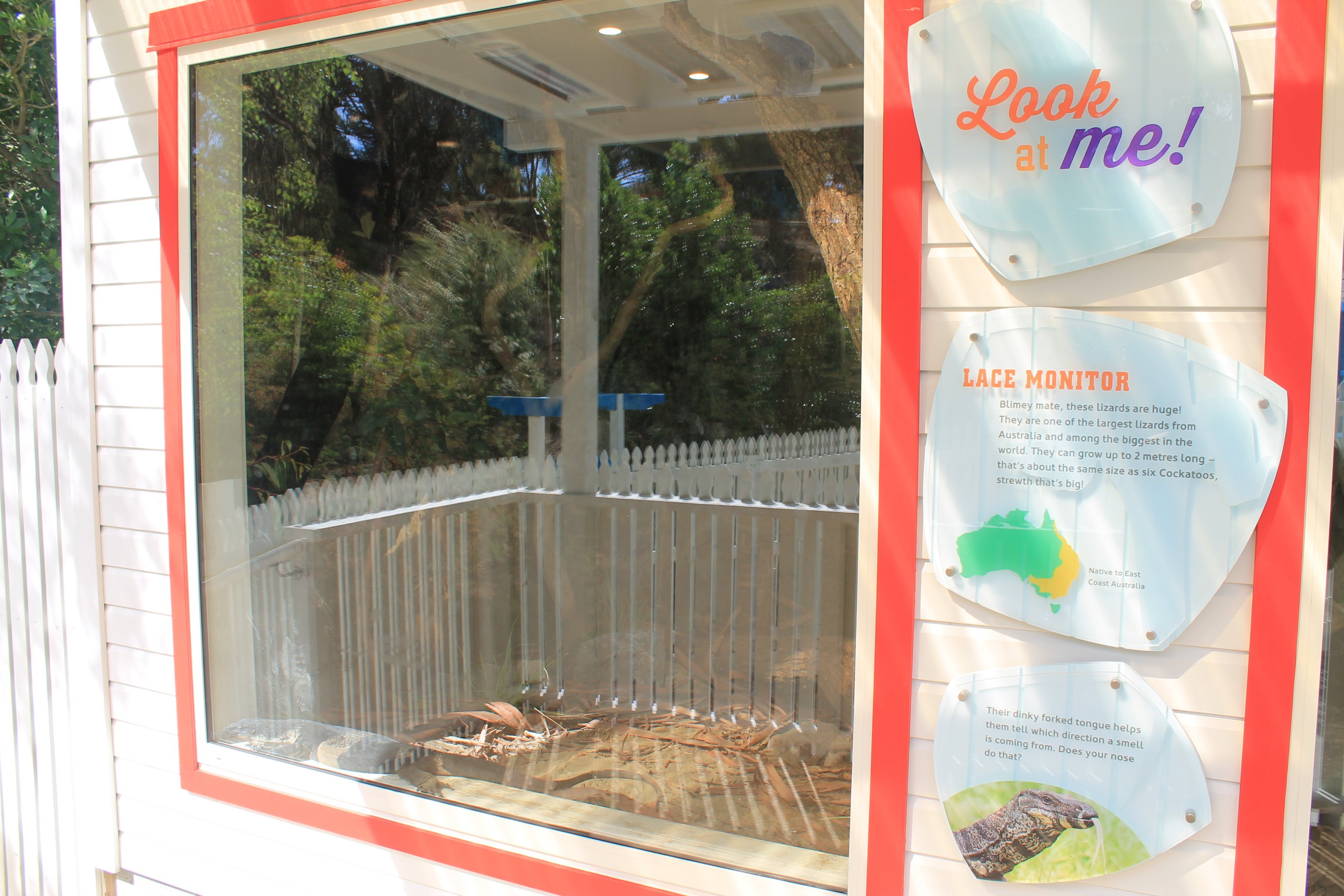 new Lace Monitor enclosure