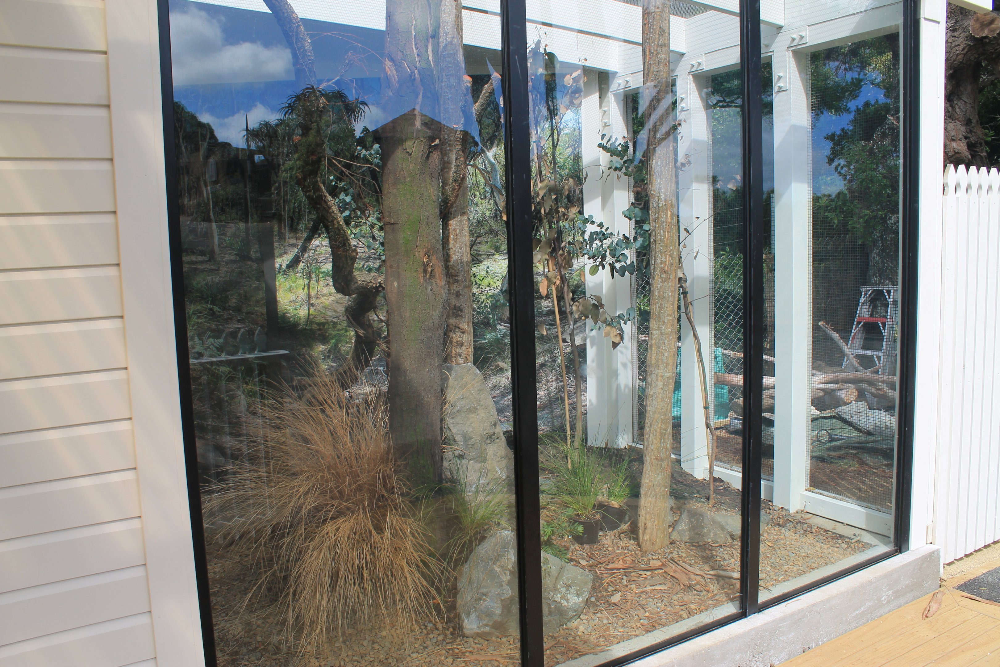 new Lace Monitor enclosure