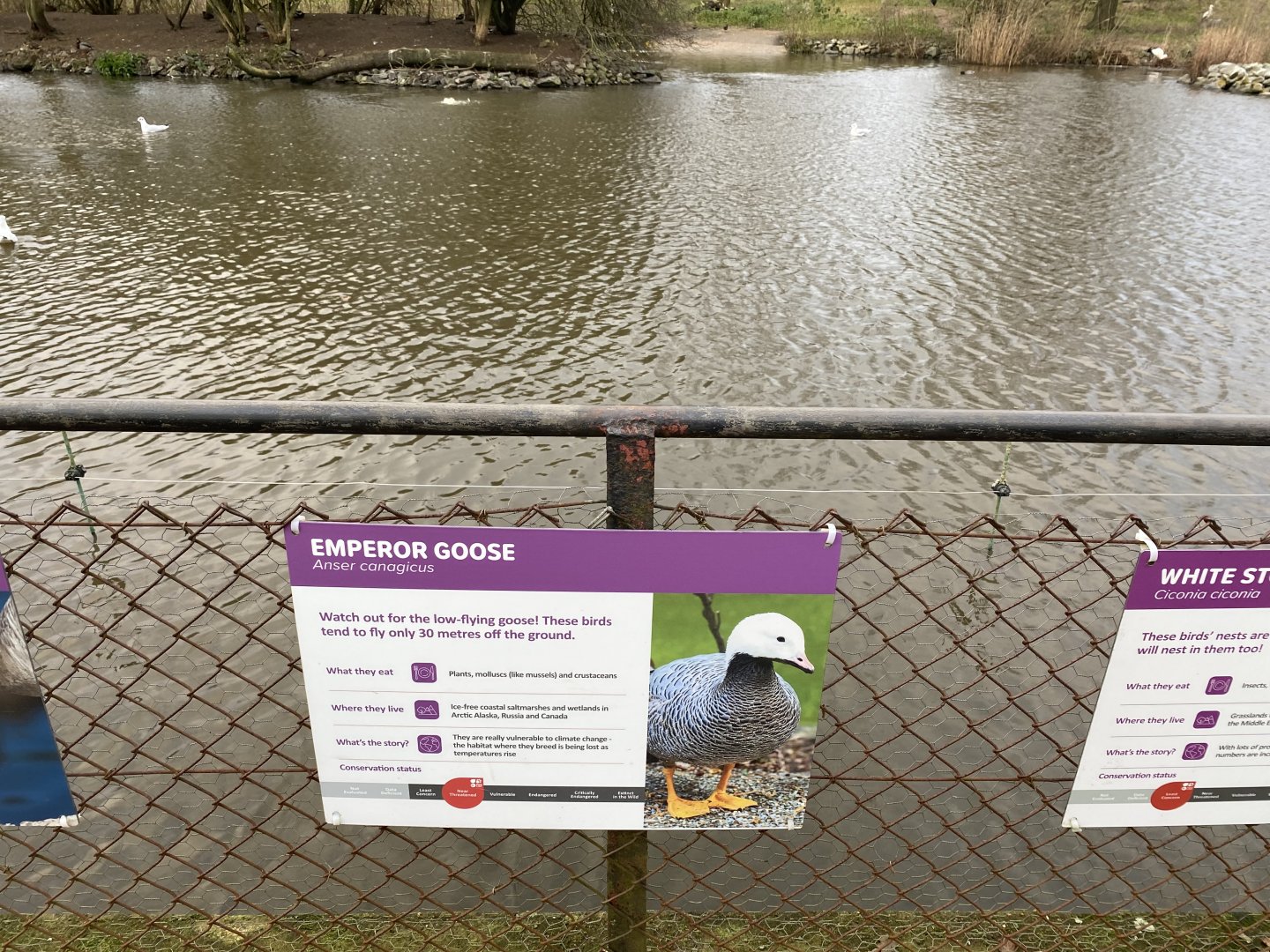 New lake signage - emperor goose
