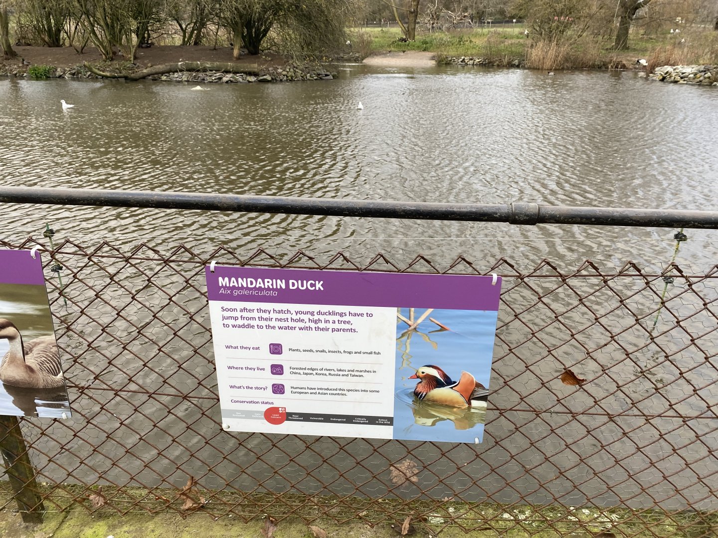 New lake signage - mandarin duck