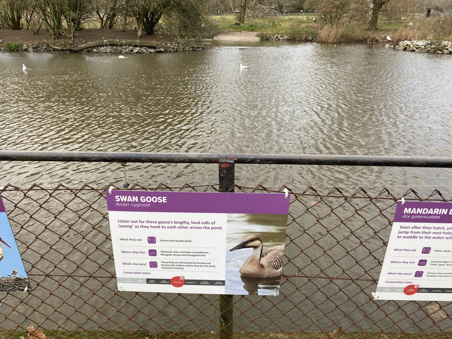 New lake signage - swan goose