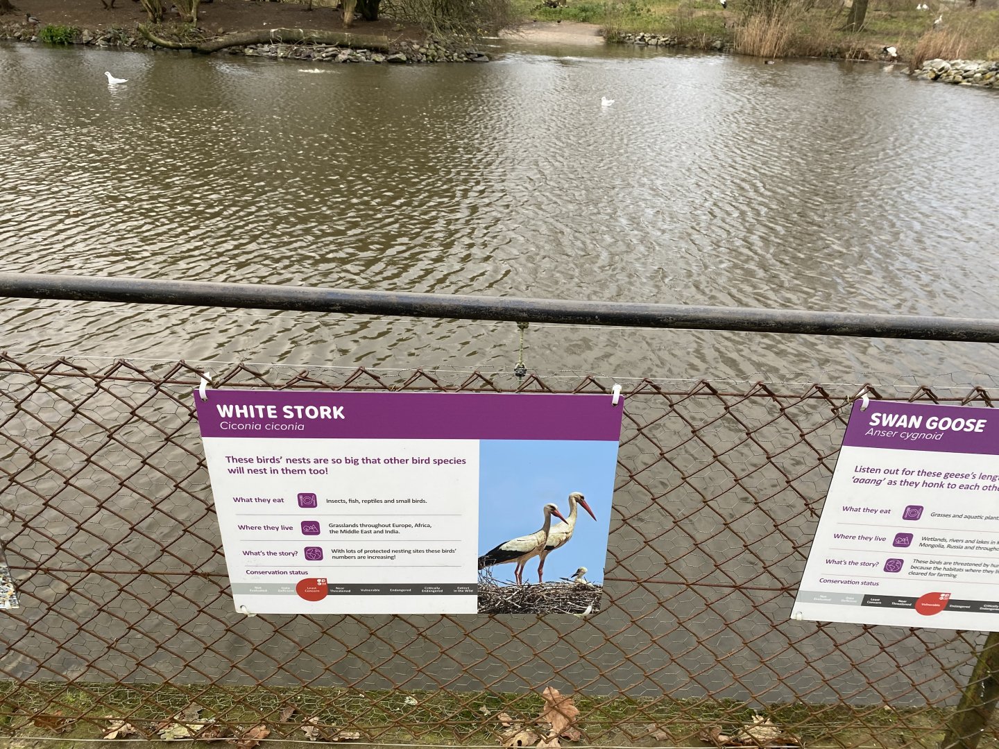 New lake signage - white stork