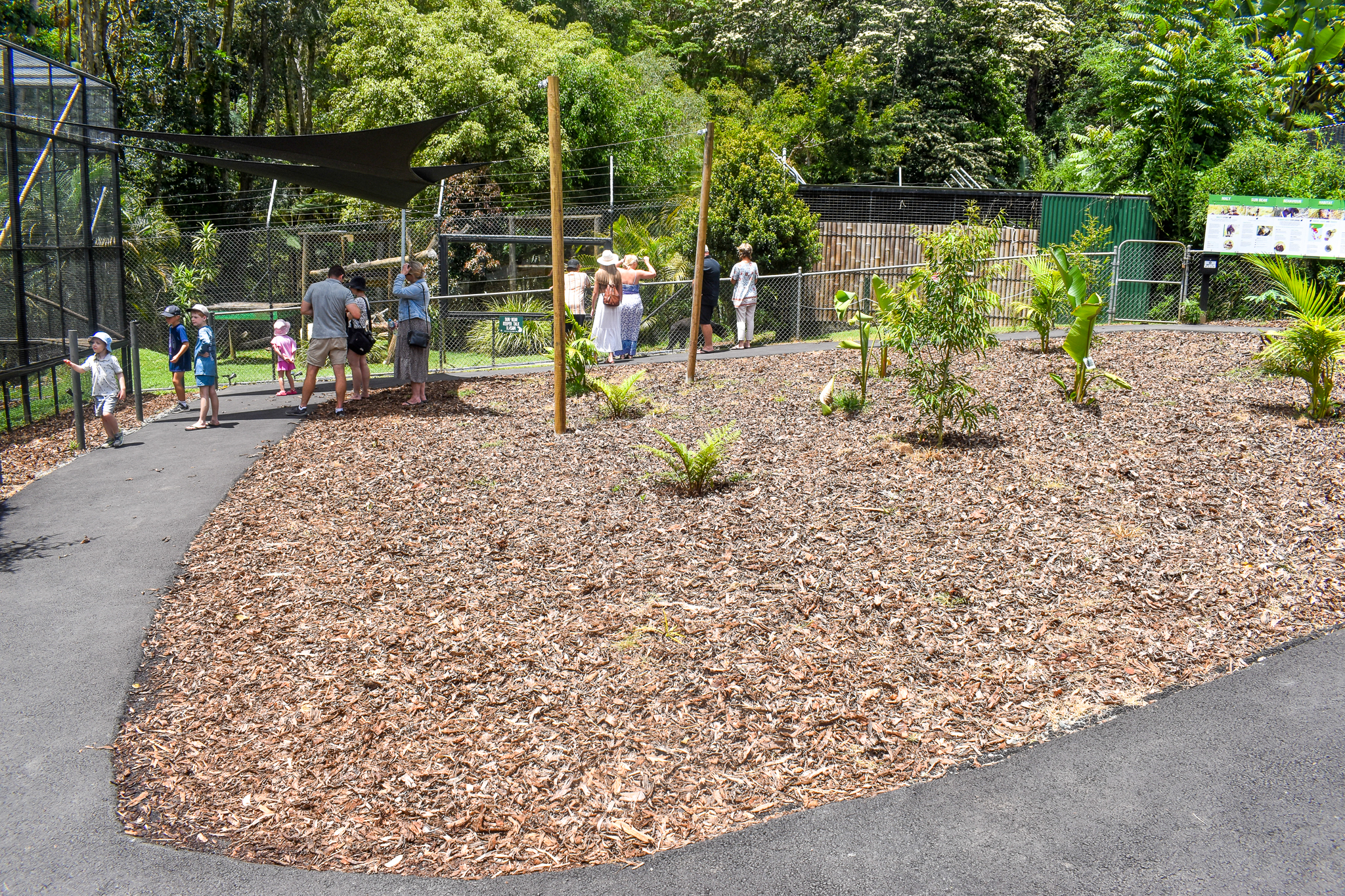 New Landscaping near Sun Bear