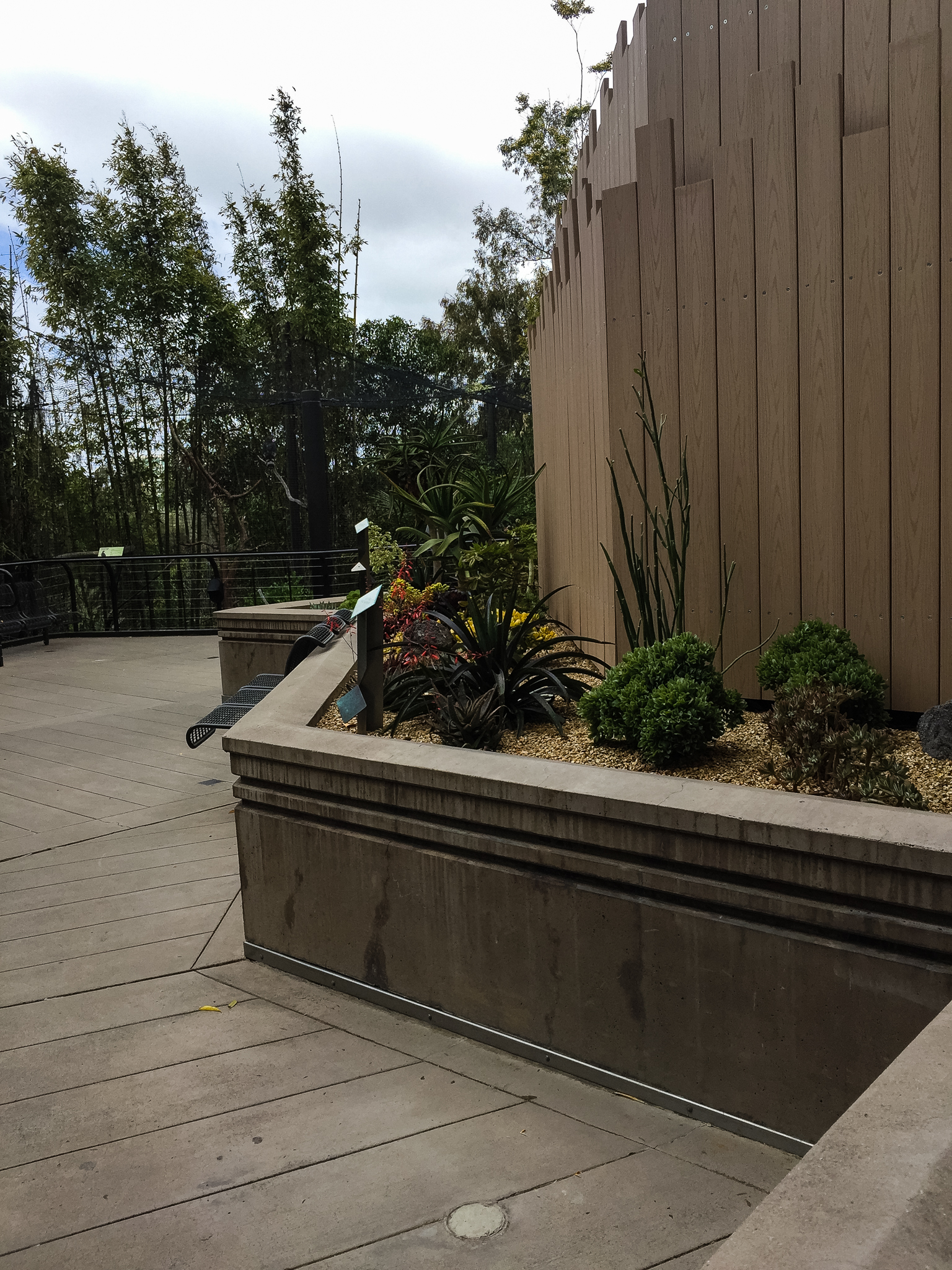 New landscaping outside bonobo exhibit