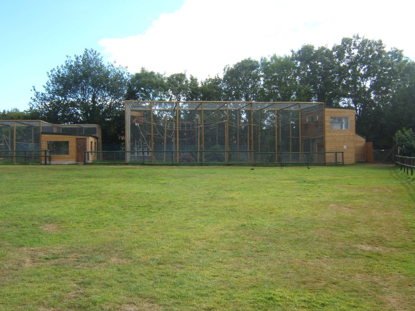 New Lar Gibbon enclosure