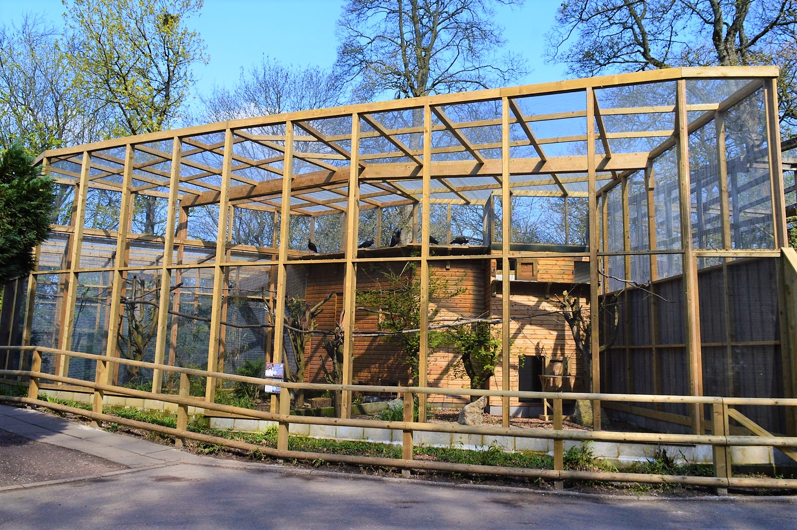 New large aviary.