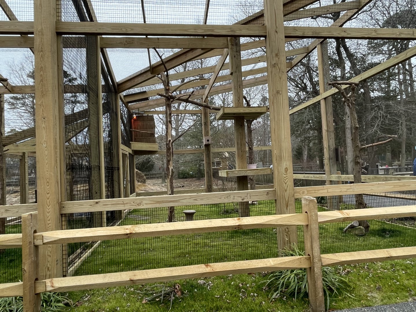 New Laughing Kookaburra Exhibit