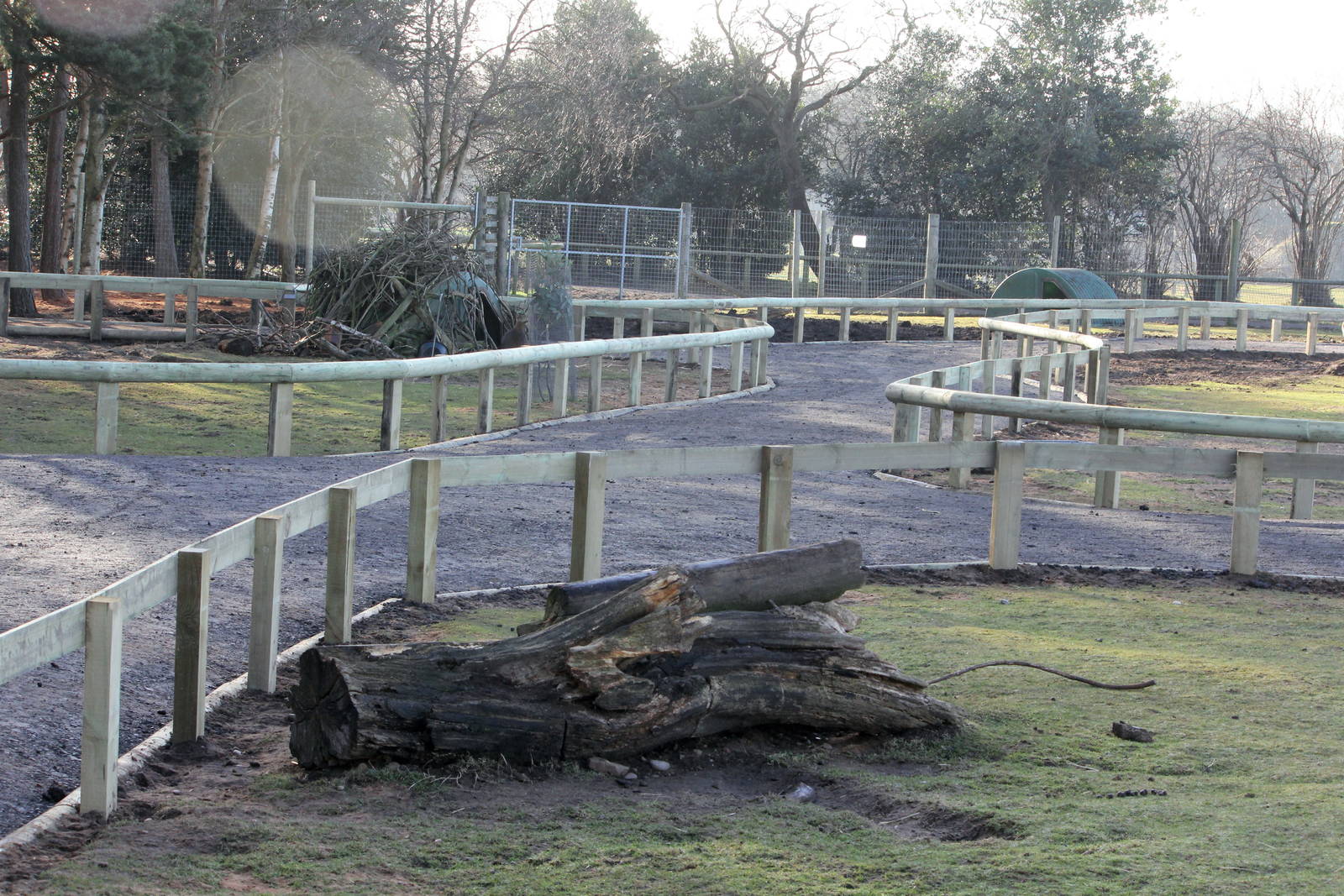 New layout to Wallaby enclosure 8-2-15