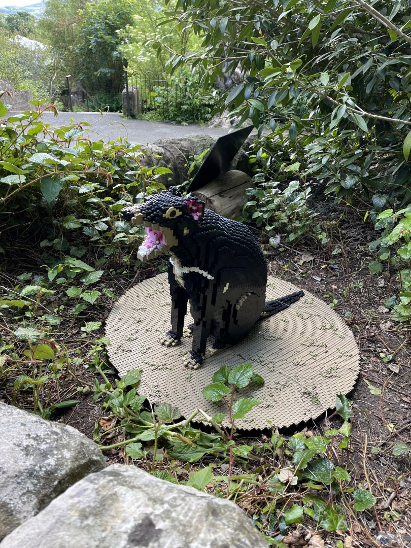 New lego sculpture 8.6.24