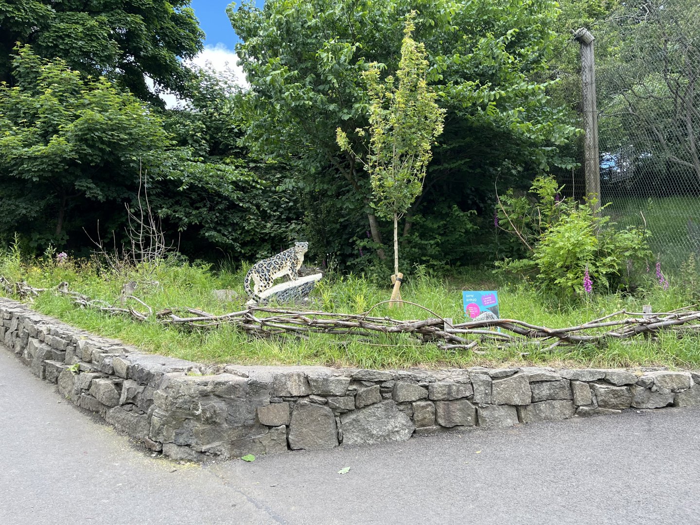 New lego sculpture in old snowy owl aviary 8.6.24