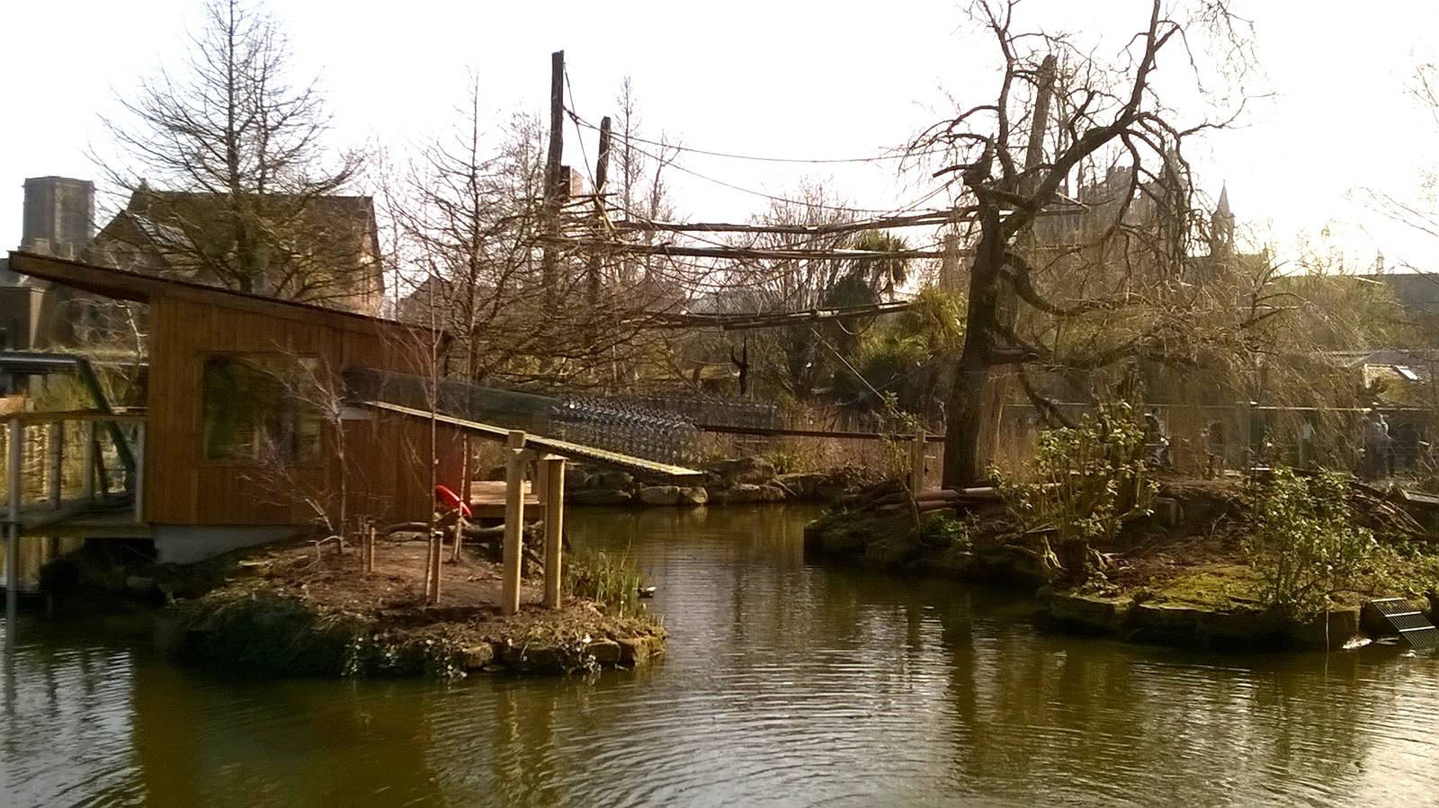 new lemur accommodation