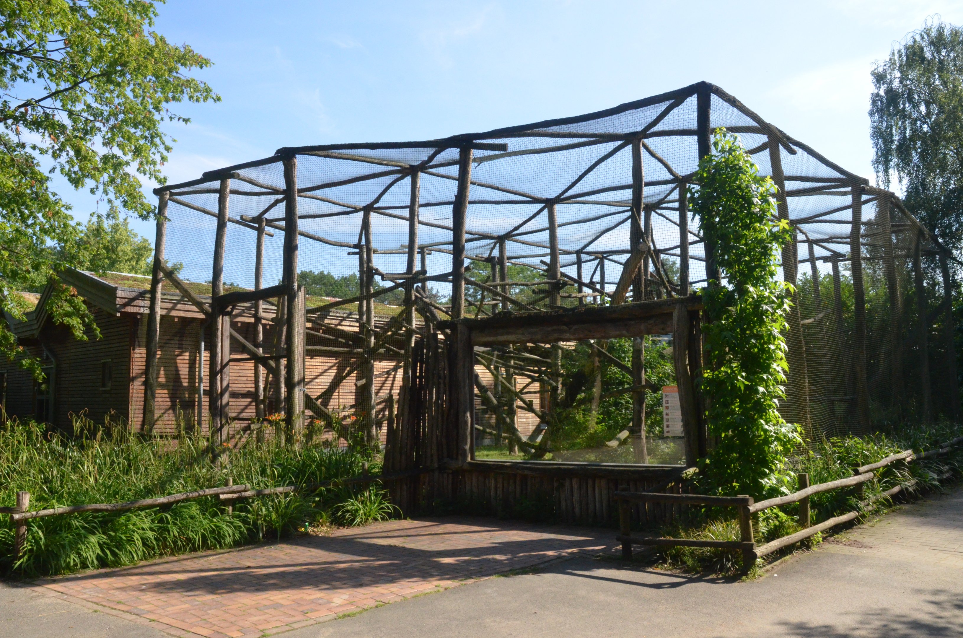 New Lemur Complex at Rheine, 18/06/19