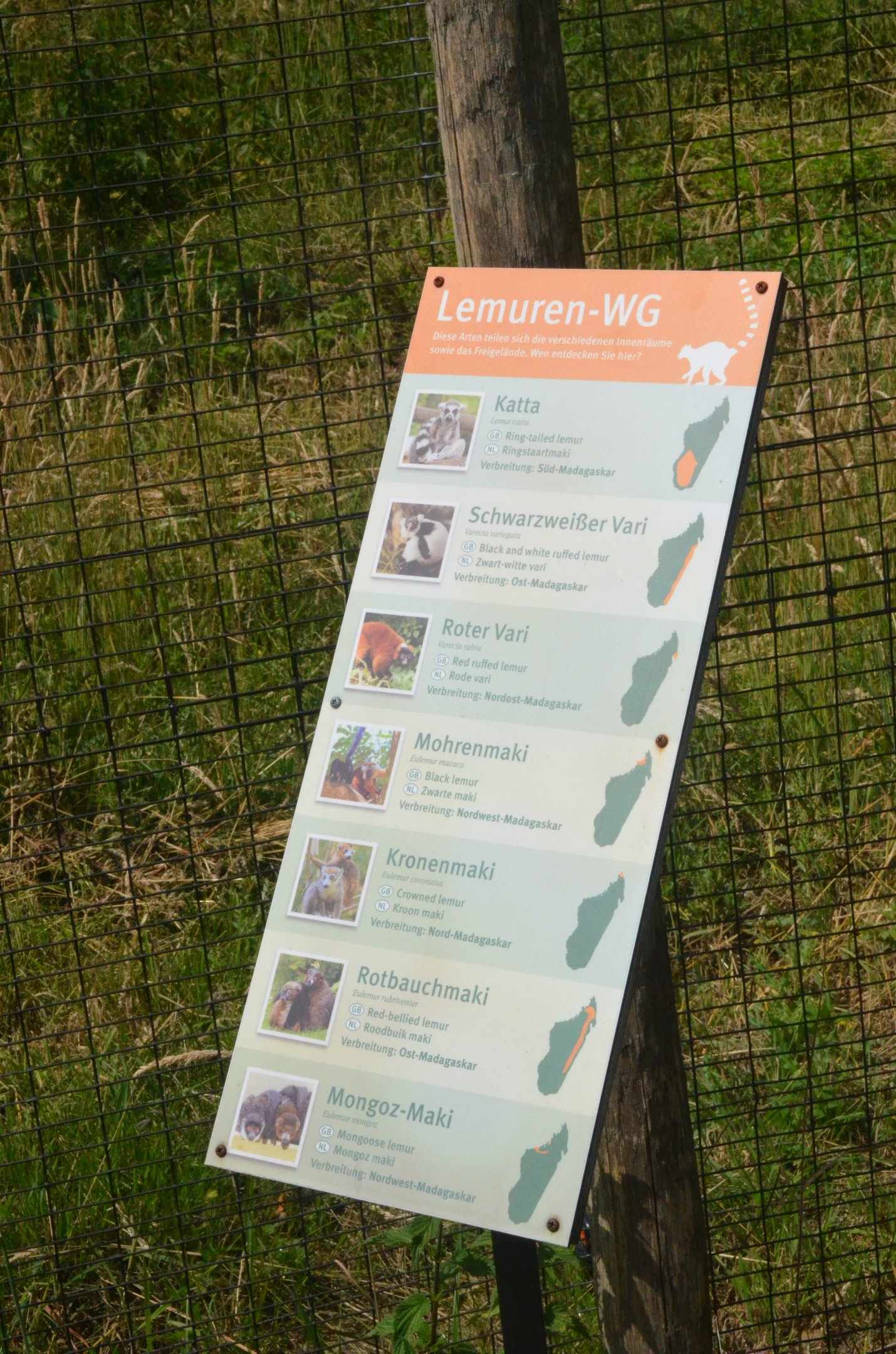 New Lemur Complex at Rheine, 18/06/19