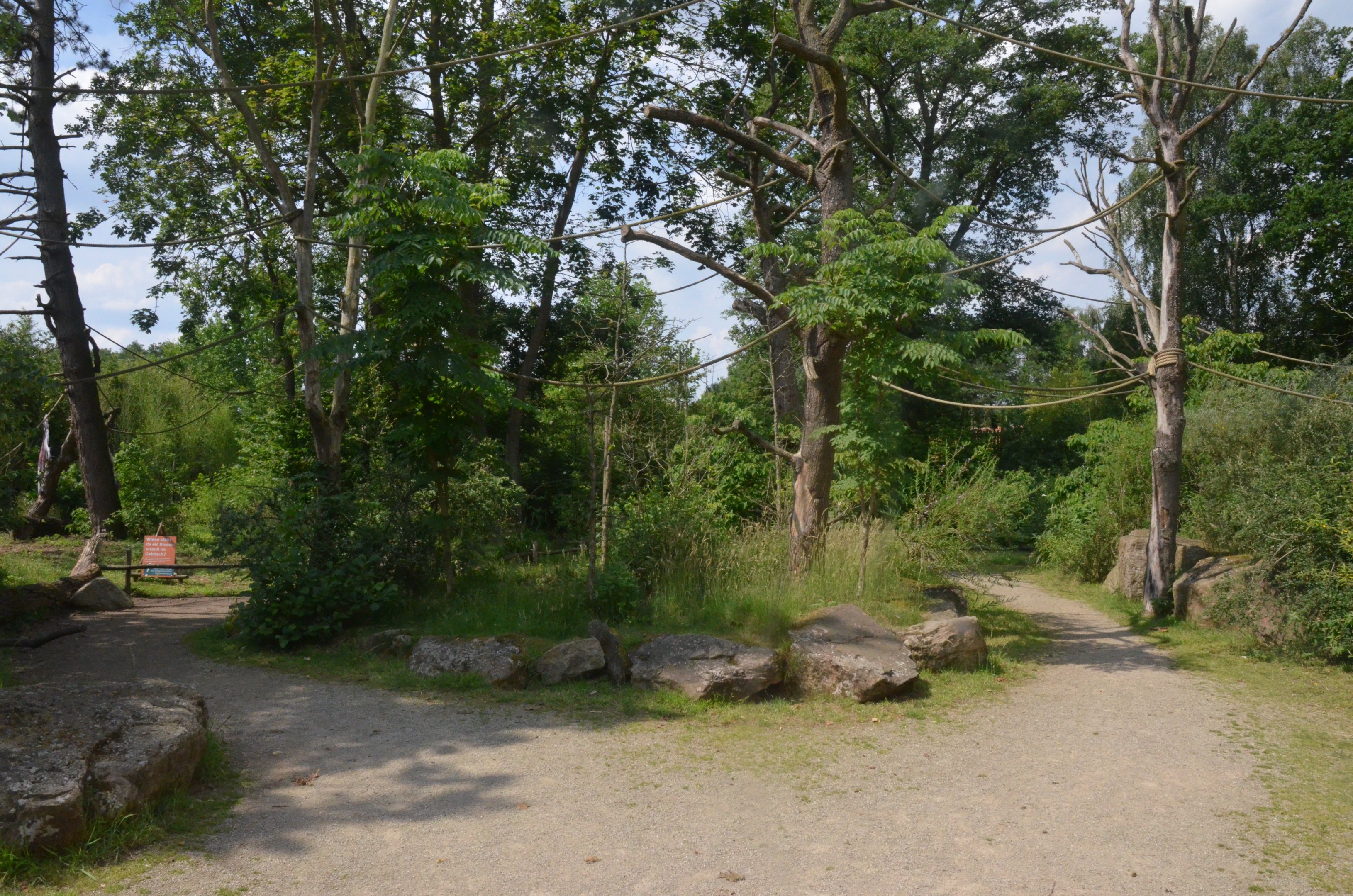 New Lemur Complex at Rheine, 18/06/19