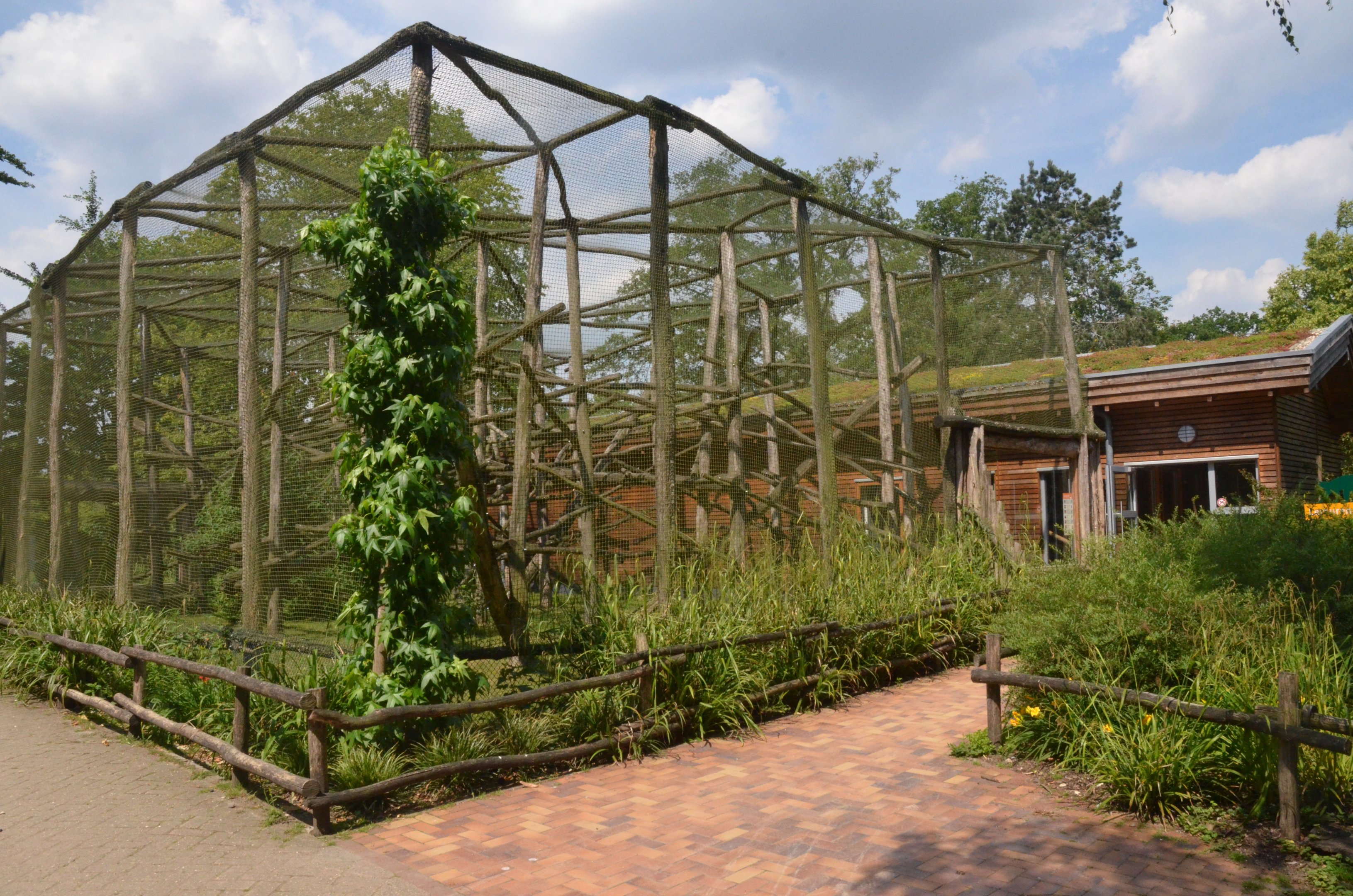 New Lemur Complex at Rheine, 18/06/19
