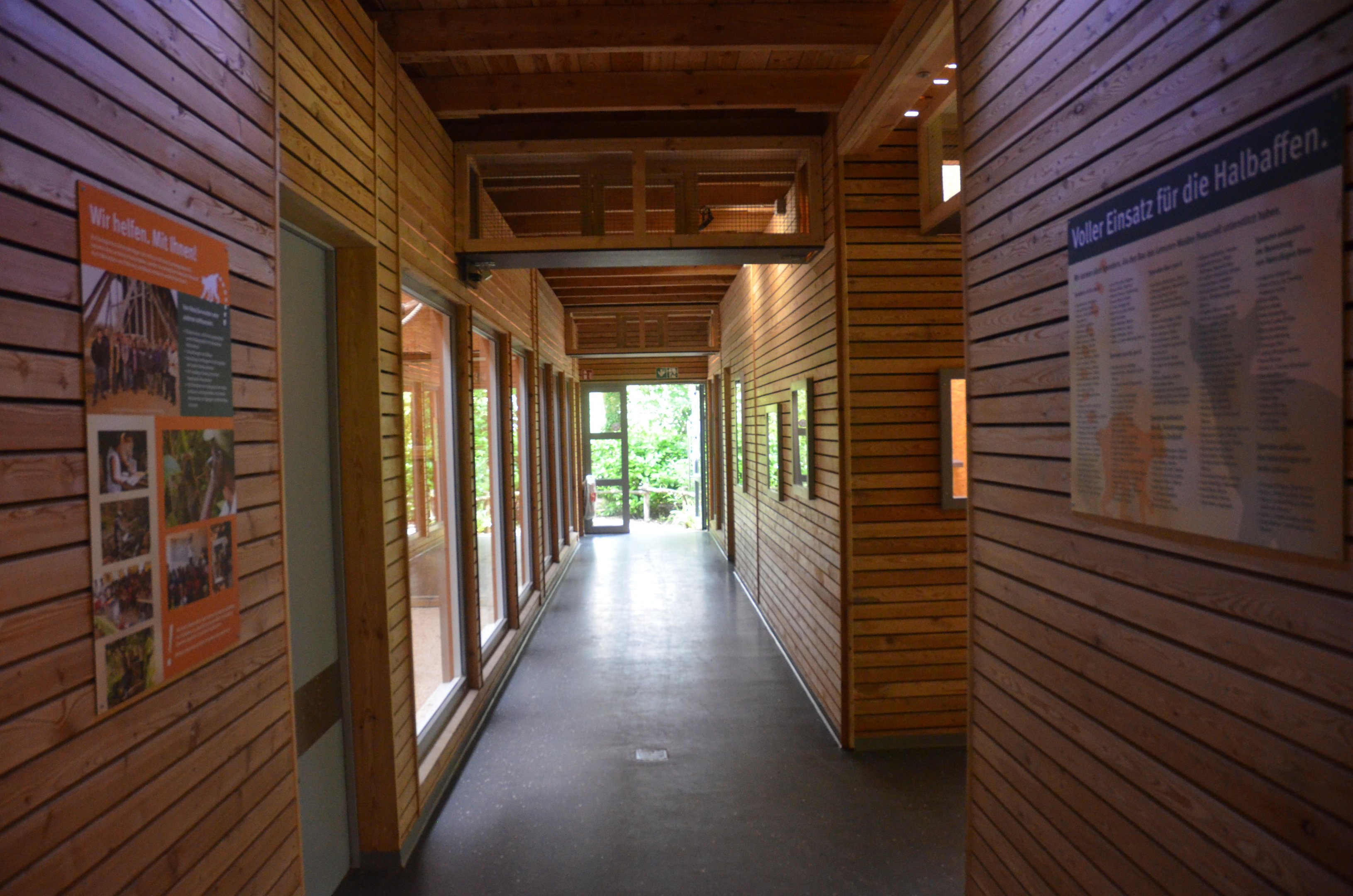 New Lemur Complex at Rheine, 18/06/19