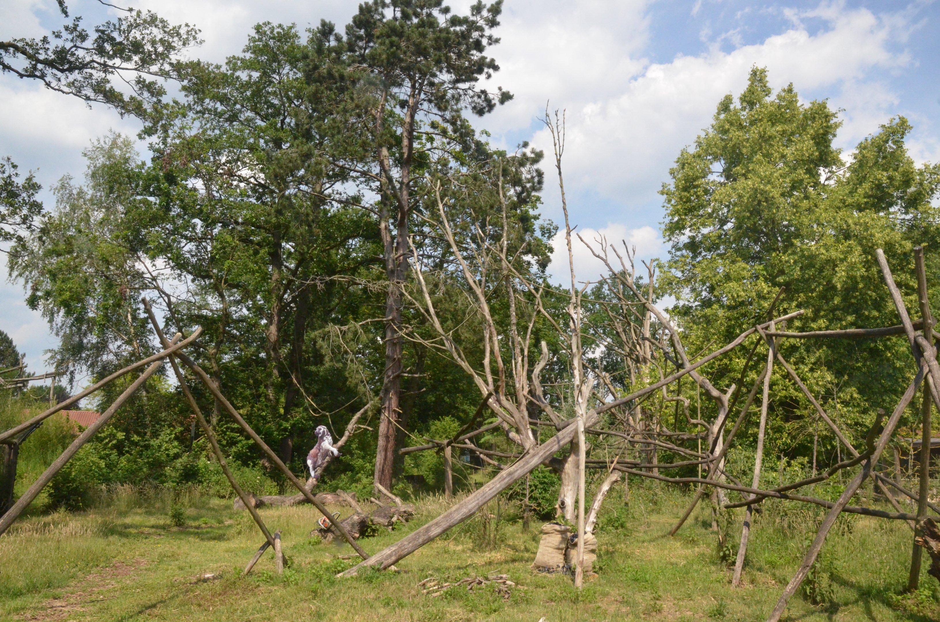 New Lemur Complex at Rheine, 18/06/19