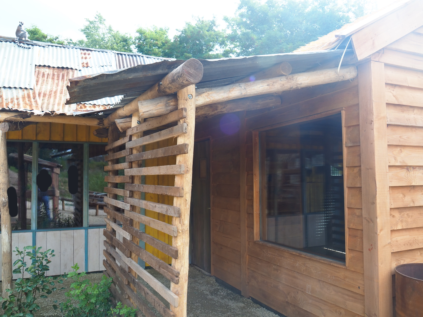 New lemur house, 2019-08-11