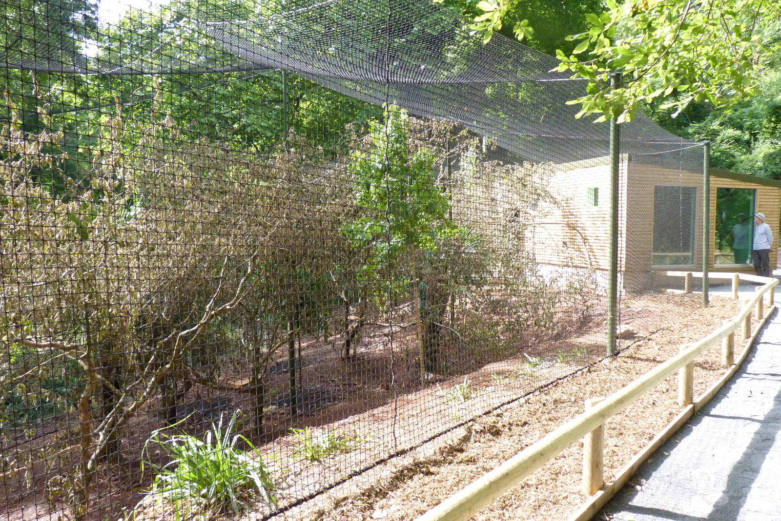 New Lemur house and enclosure, July 2016