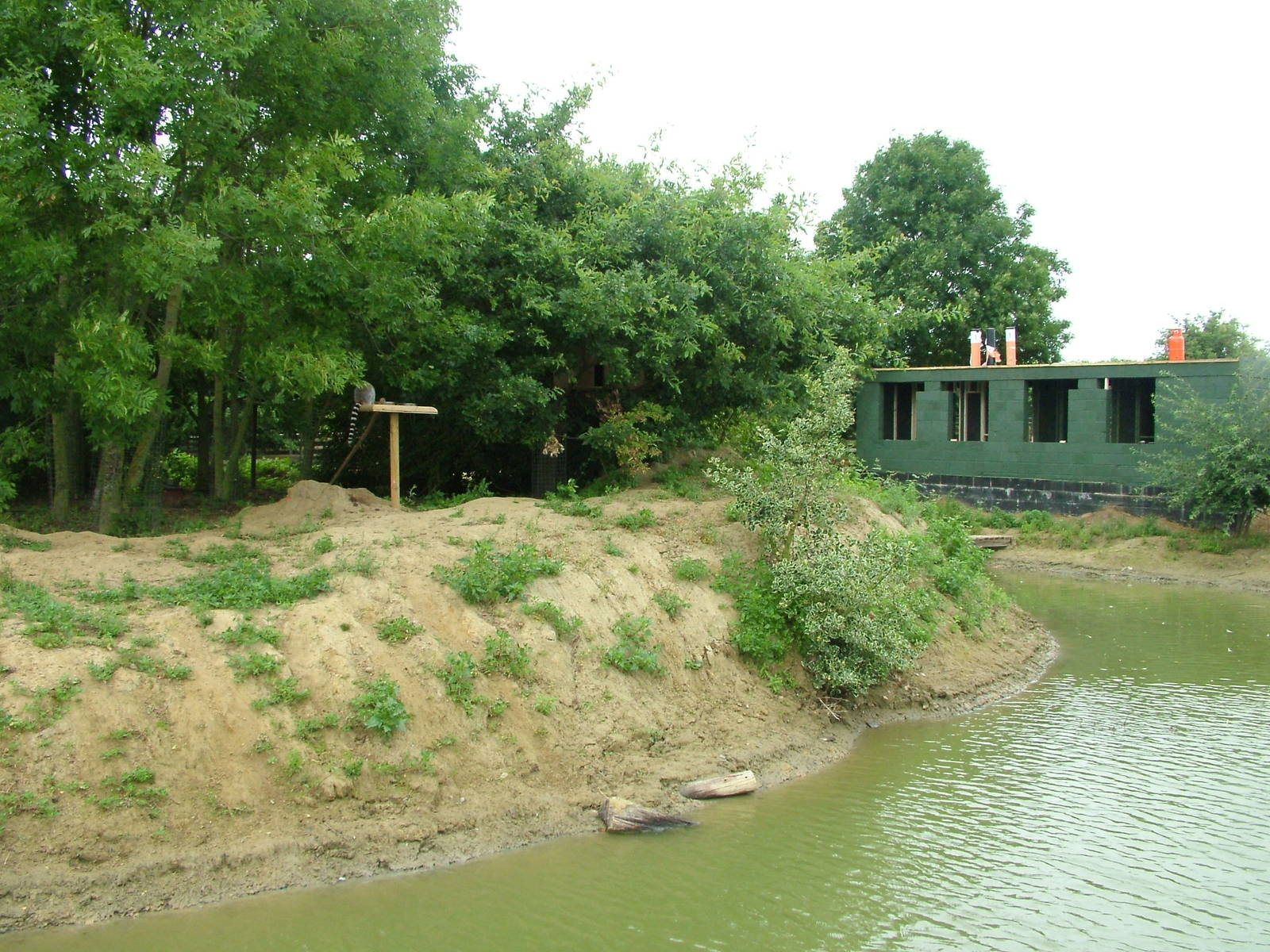 New Lemur Island at Wingham WP, 31/07/10