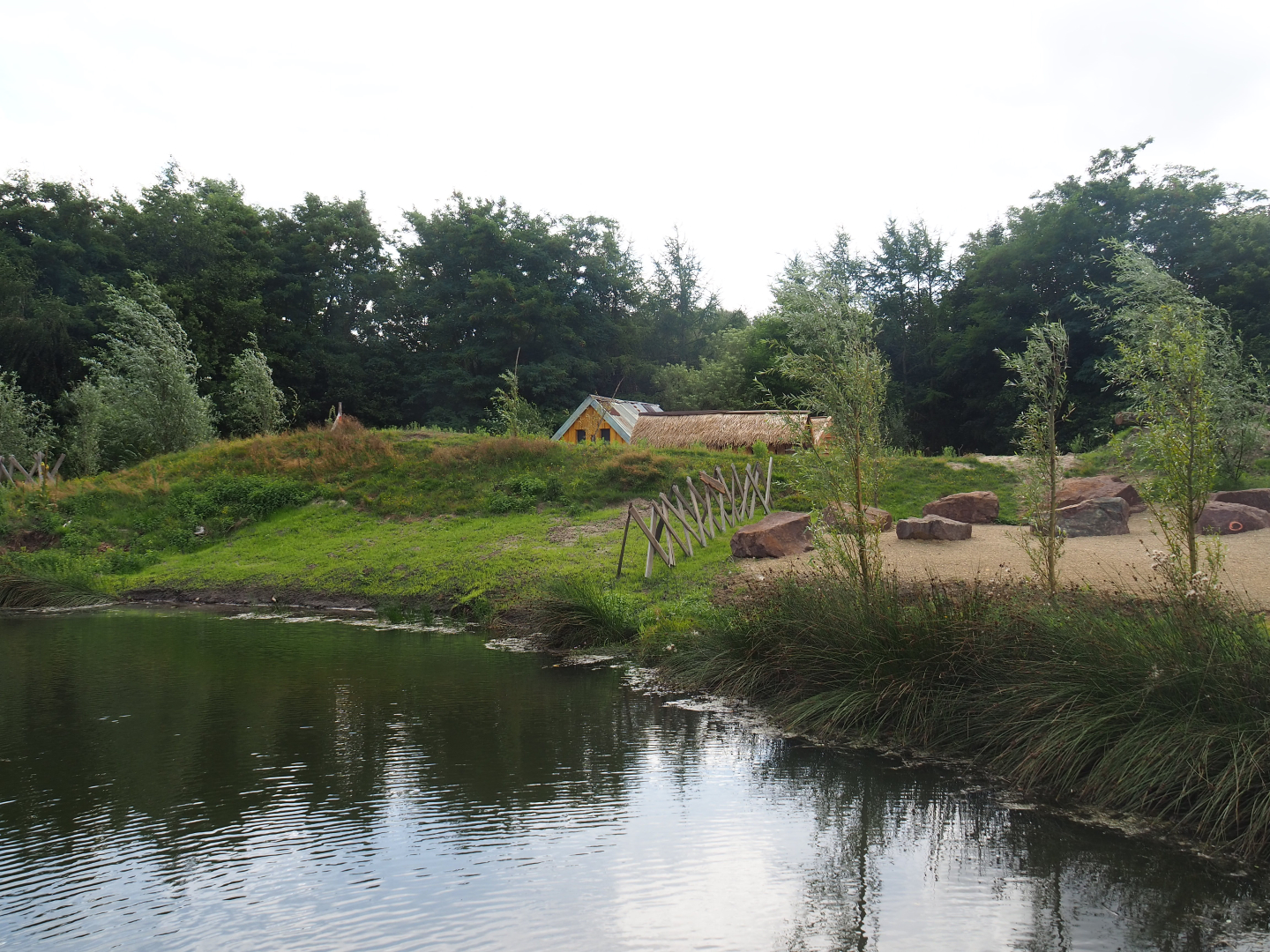 New lemur island (with three species), 2019-08-11