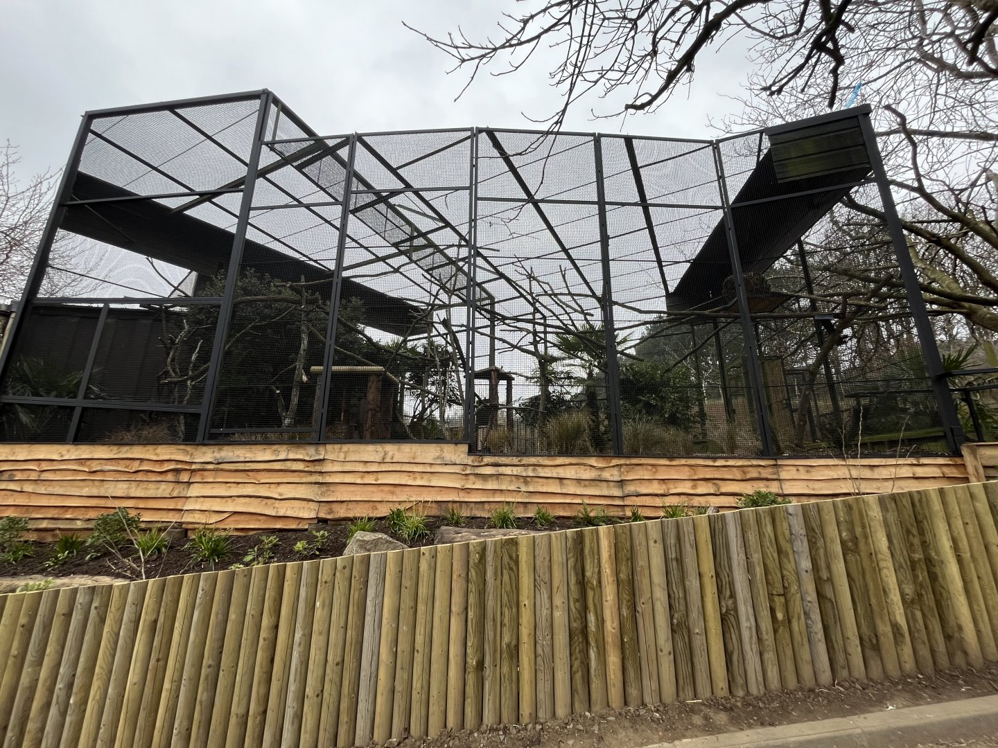 New L’hoest’s monkey enclosure 9.3.24